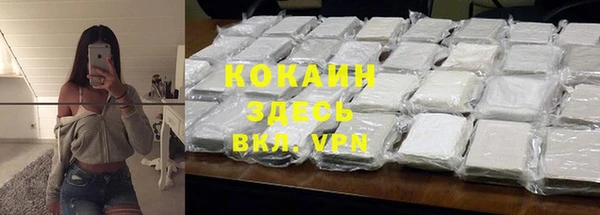 хмурый Алзамай