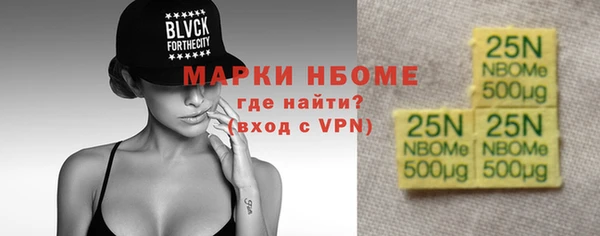 хмурый Алзамай