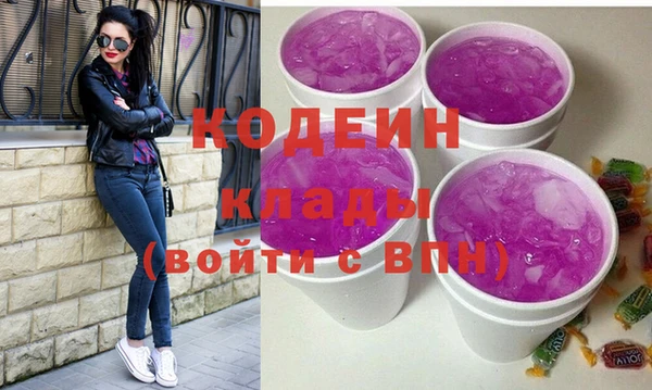 хмурый Алзамай