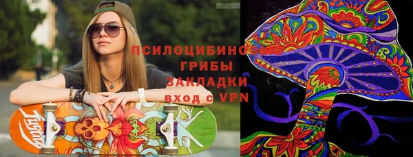 мет Алексин