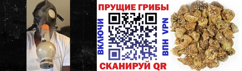 Псилоцибиновые грибы прущие грибы  Алушта 